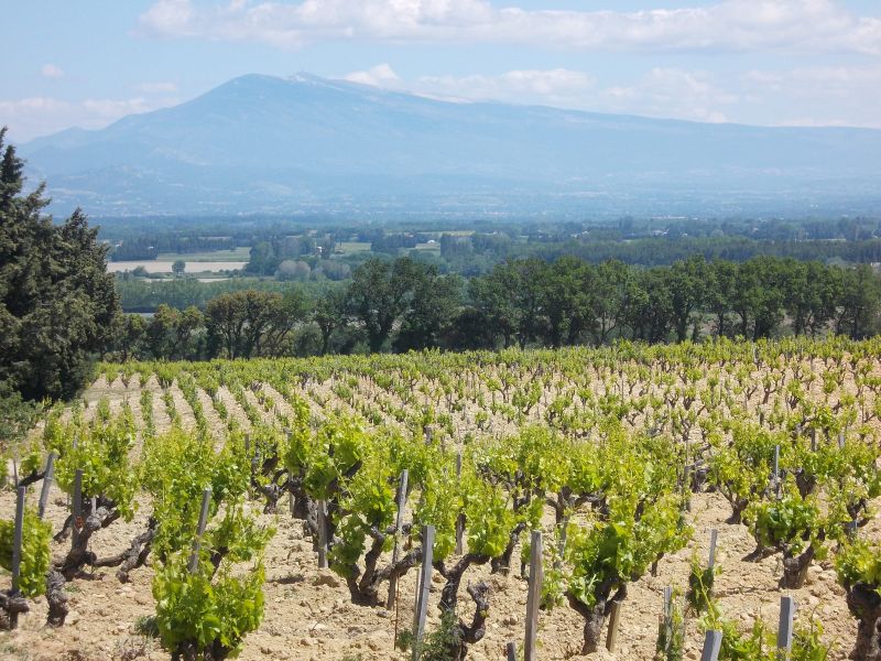 Provence and Luberon